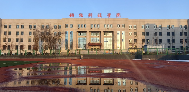 动科院小景4